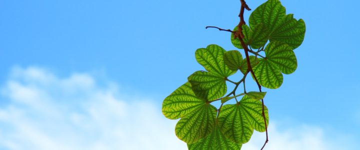 Aufschieben beenden und Leichtigkeit gewinnen