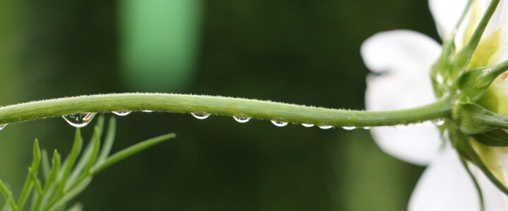 Ruhe finden – kleine Rituale, um besser abschalten zu können Ruhe finden – kleine Rituale, um besser abschalten zu können